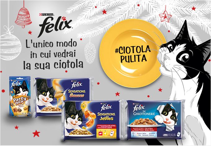 felix-ciotola-pulita